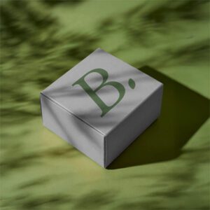 Cajas de presentacion